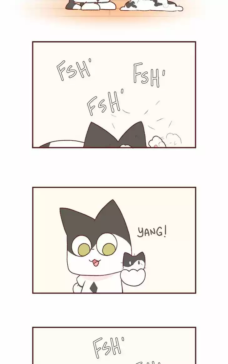 Saphie: The One-Eyed Cat 181