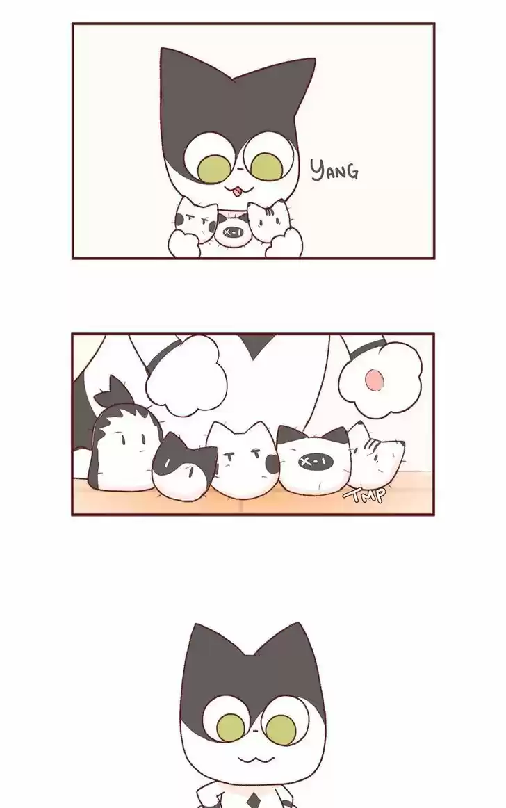 Saphie: The One-Eyed Cat 181