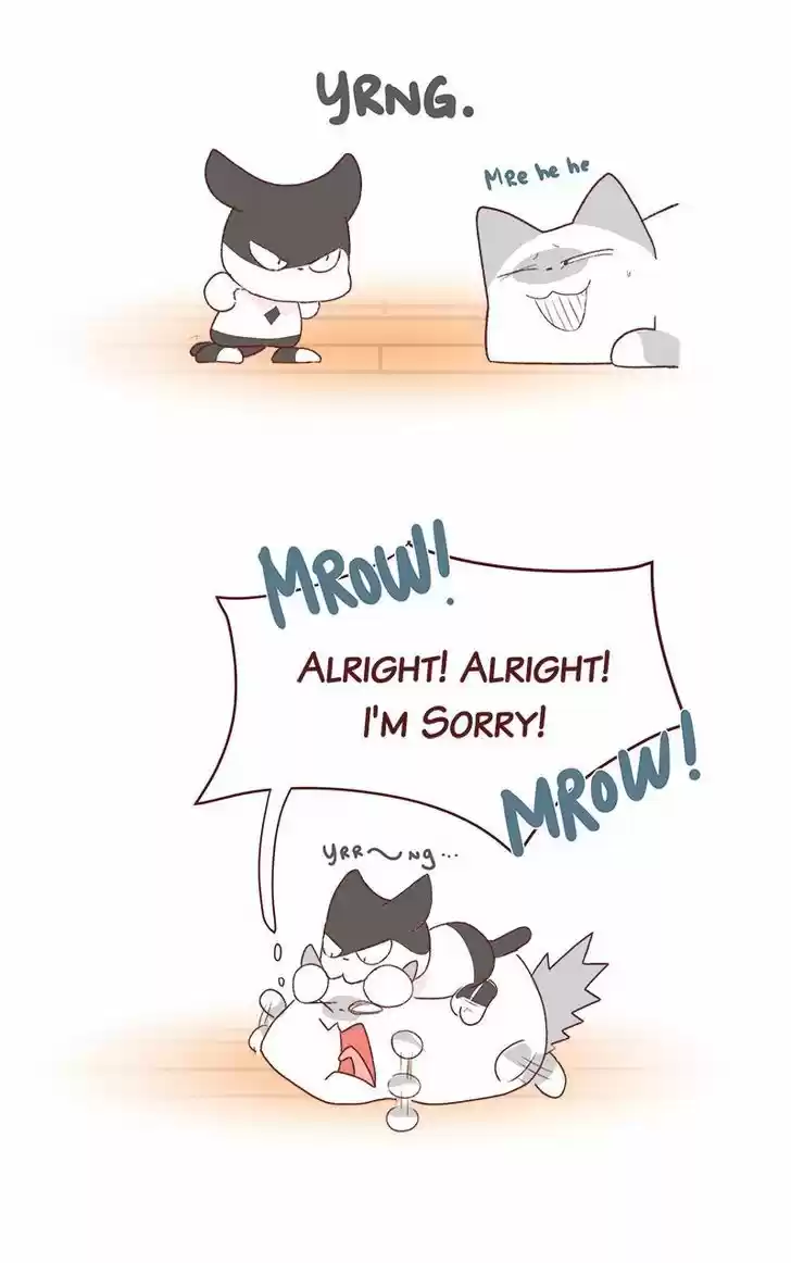 Saphie: The One-Eyed Cat 181