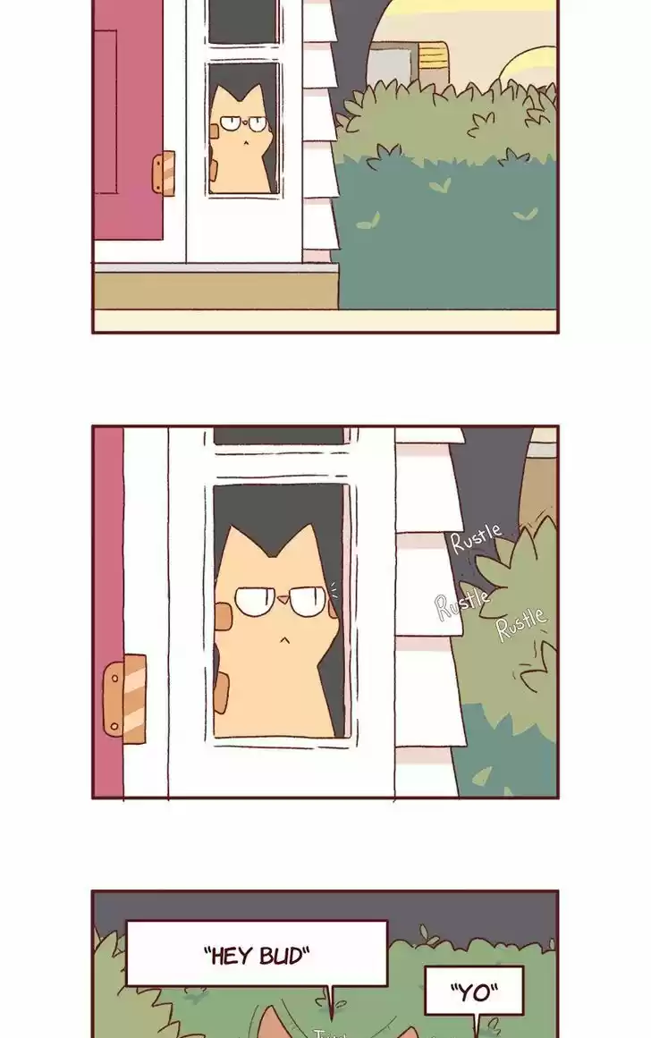 Saphie: The One-Eyed Cat 182