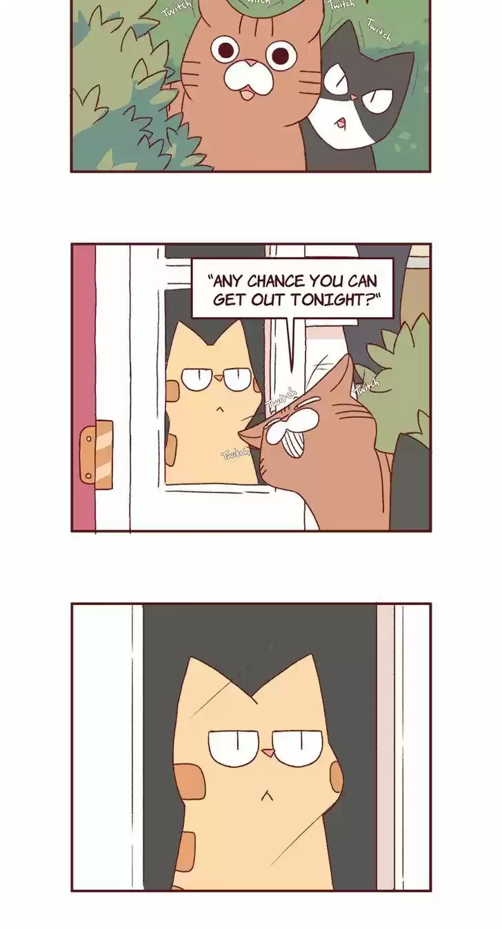 Saphie: The One-Eyed Cat 182