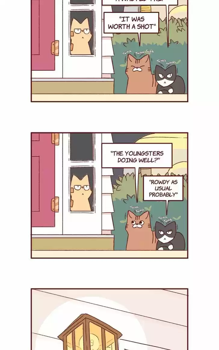 Saphie: The One-Eyed Cat 182