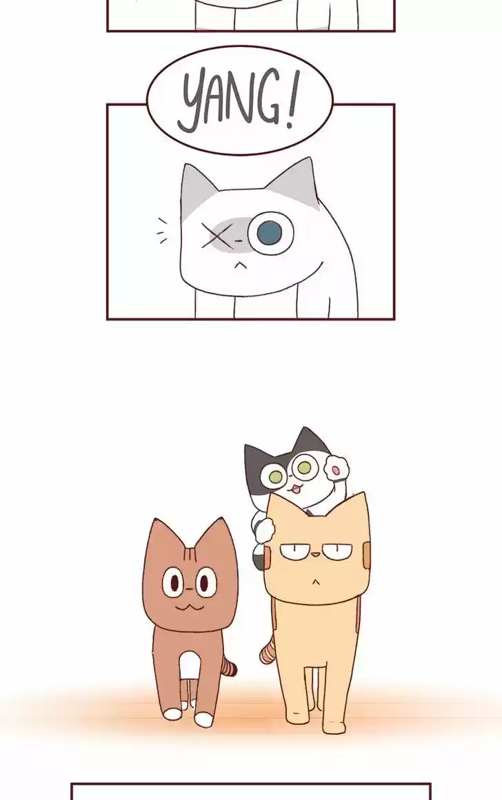 Saphie: The One-Eyed Cat 183