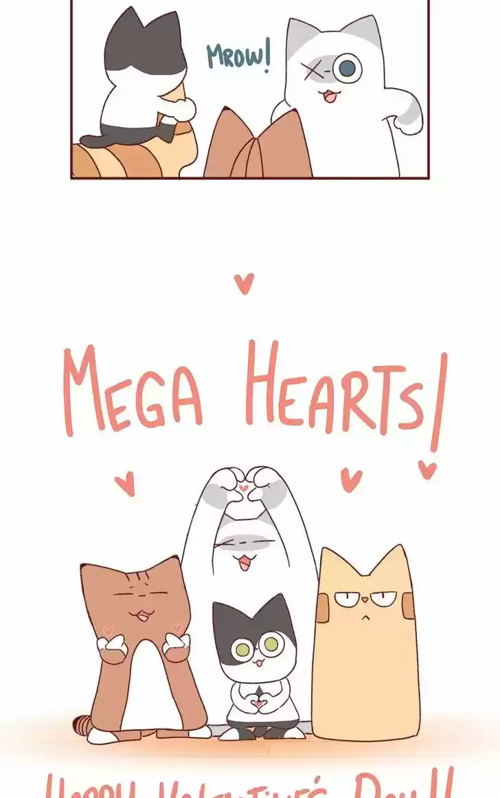 Saphie: The One-Eyed Cat 183