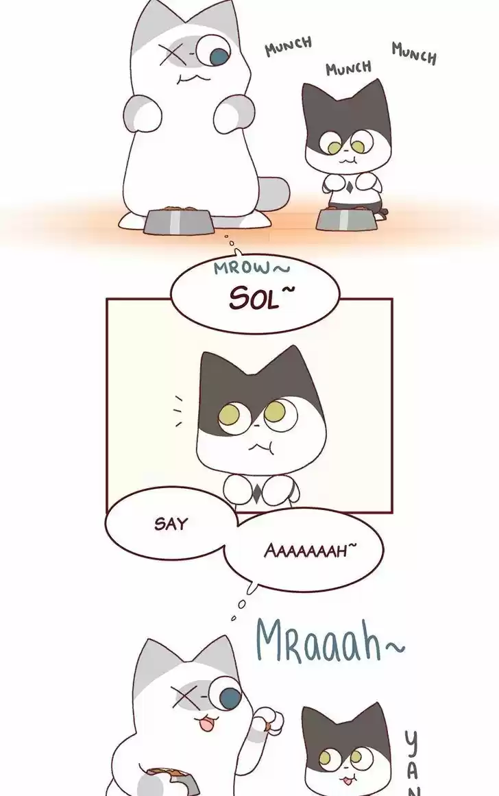 Saphie: The One-Eyed Cat 184