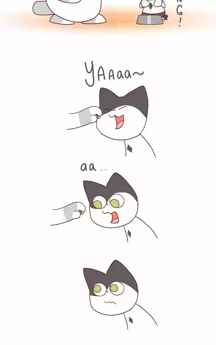 Saphie: The One-Eyed Cat 184