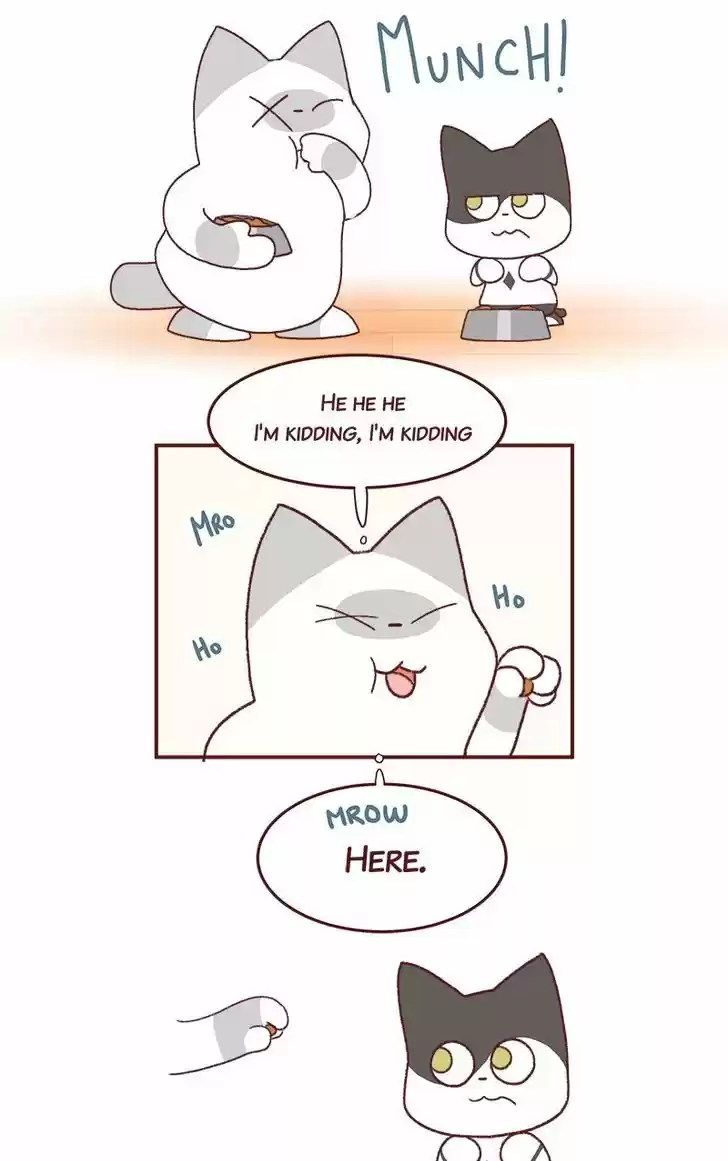 Saphie: The One-Eyed Cat 184