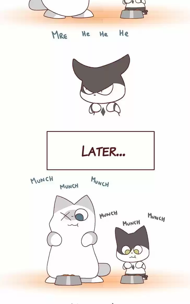 Saphie: The One-Eyed Cat 184