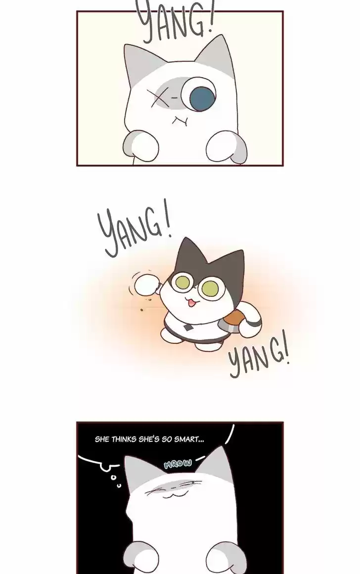 Saphie: The One-Eyed Cat 184