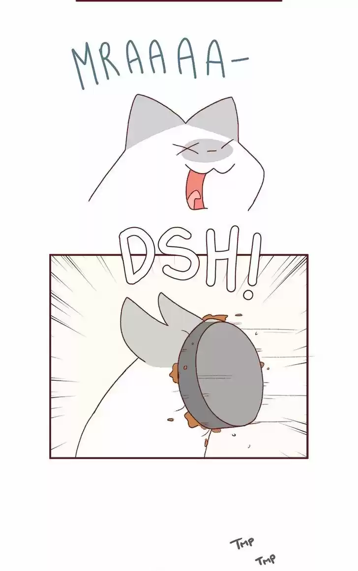 Saphie: The One-Eyed Cat 184