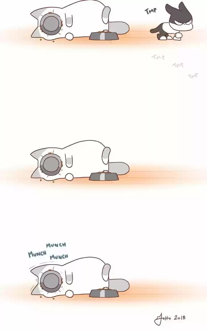 Saphie: The One-Eyed Cat 184