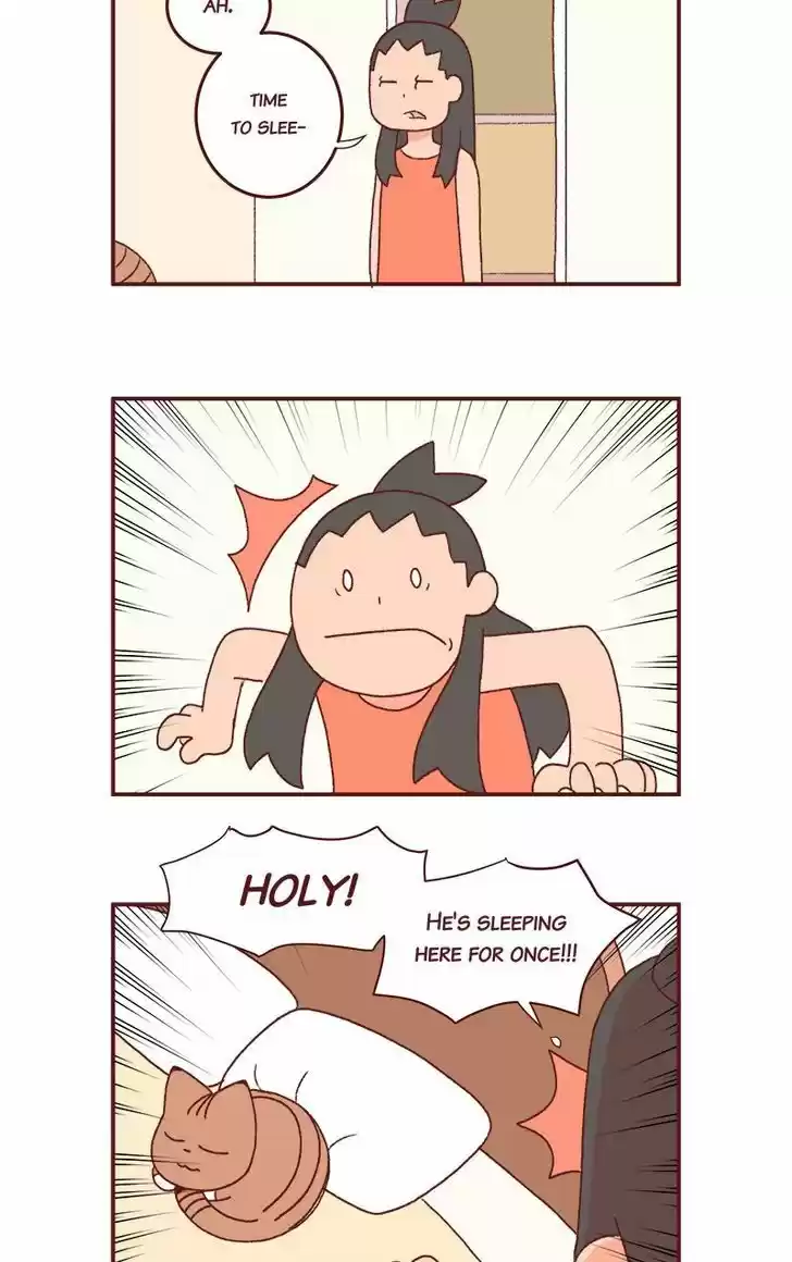 Saphie: The One-Eyed Cat 185