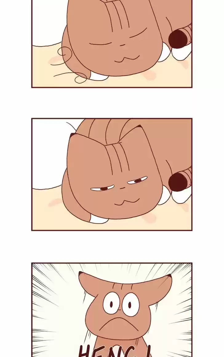 Saphie: The One-Eyed Cat 185