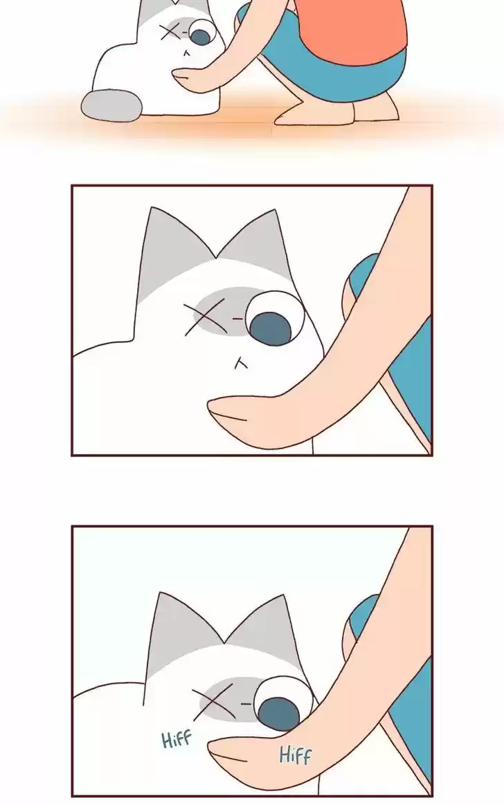 Saphie: The One-Eyed Cat 186