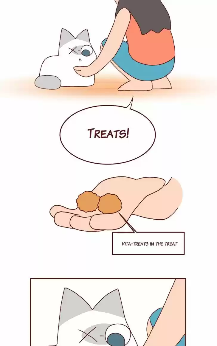 Saphie: The One-Eyed Cat 186