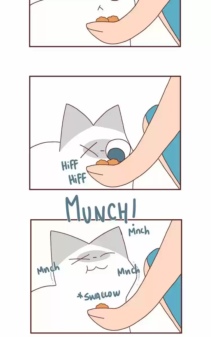 Saphie: The One-Eyed Cat 186