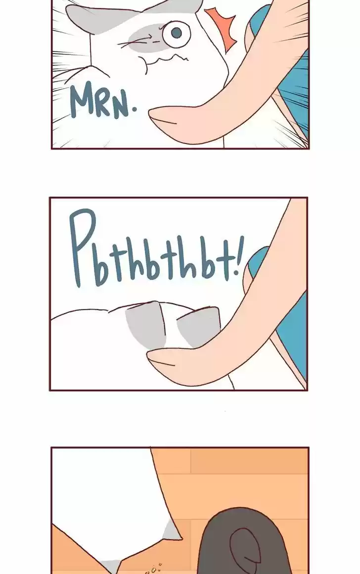 Saphie: The One-Eyed Cat 186