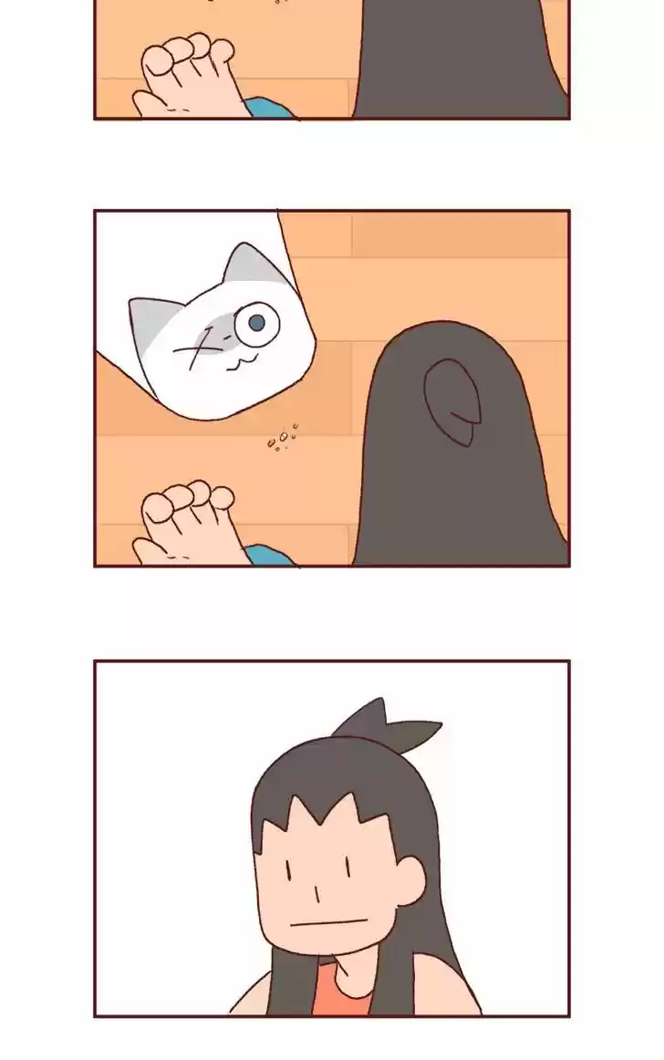 Saphie: The One-Eyed Cat 186