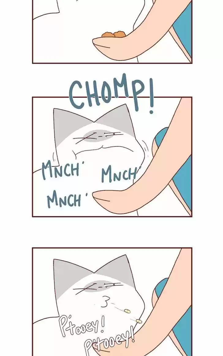 Saphie: The One-Eyed Cat 186