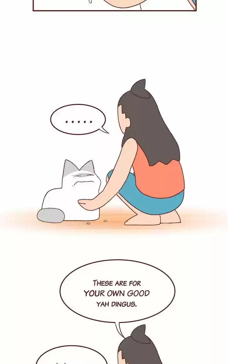 Saphie: The One-Eyed Cat 186