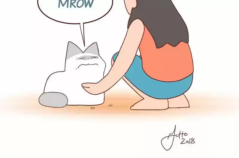 Saphie: The One-Eyed Cat 186