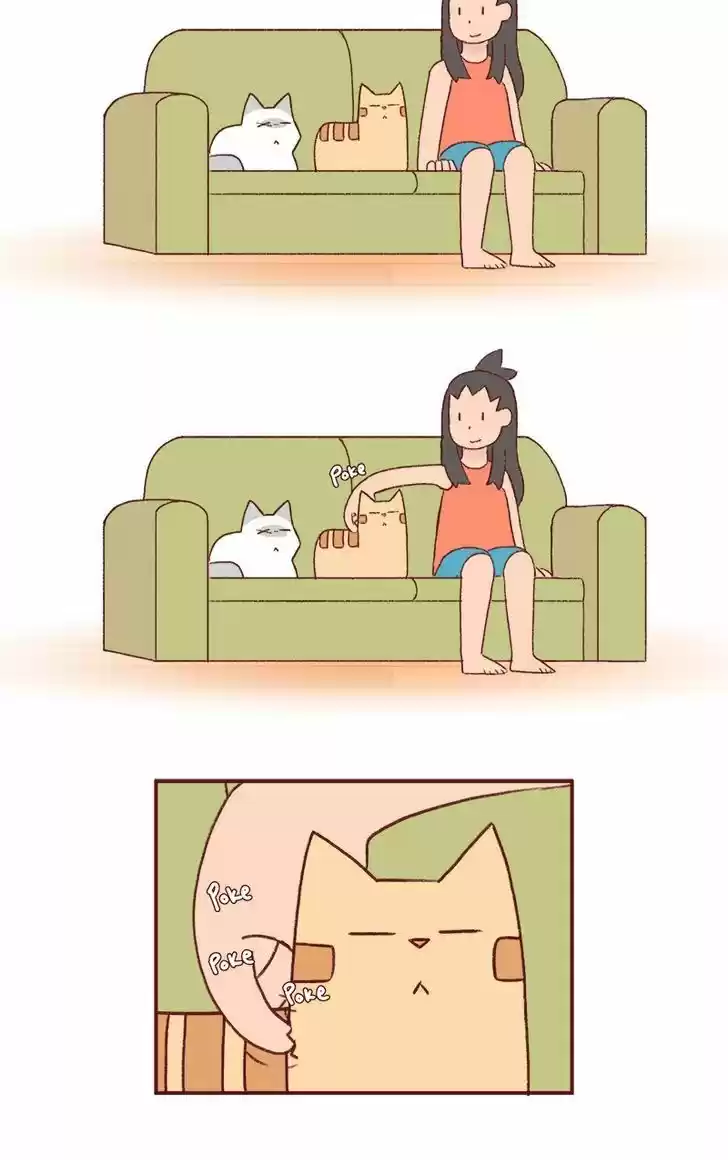 Saphie: The One-Eyed Cat 188