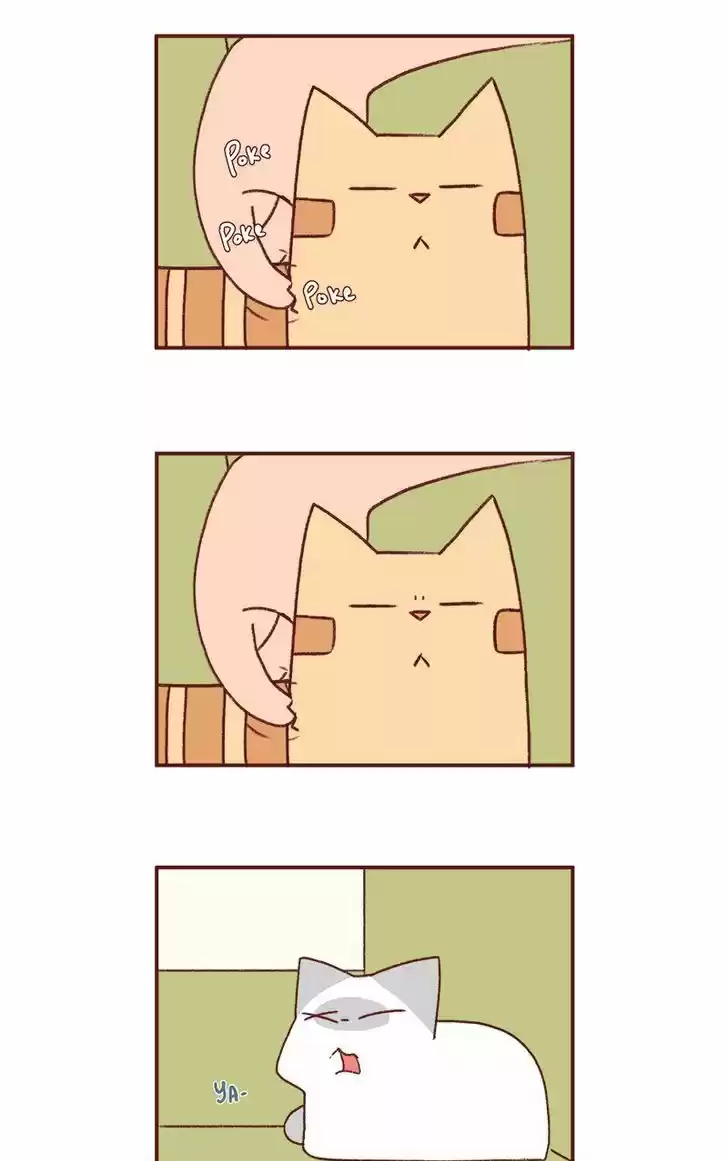 Saphie: The One-Eyed Cat 188