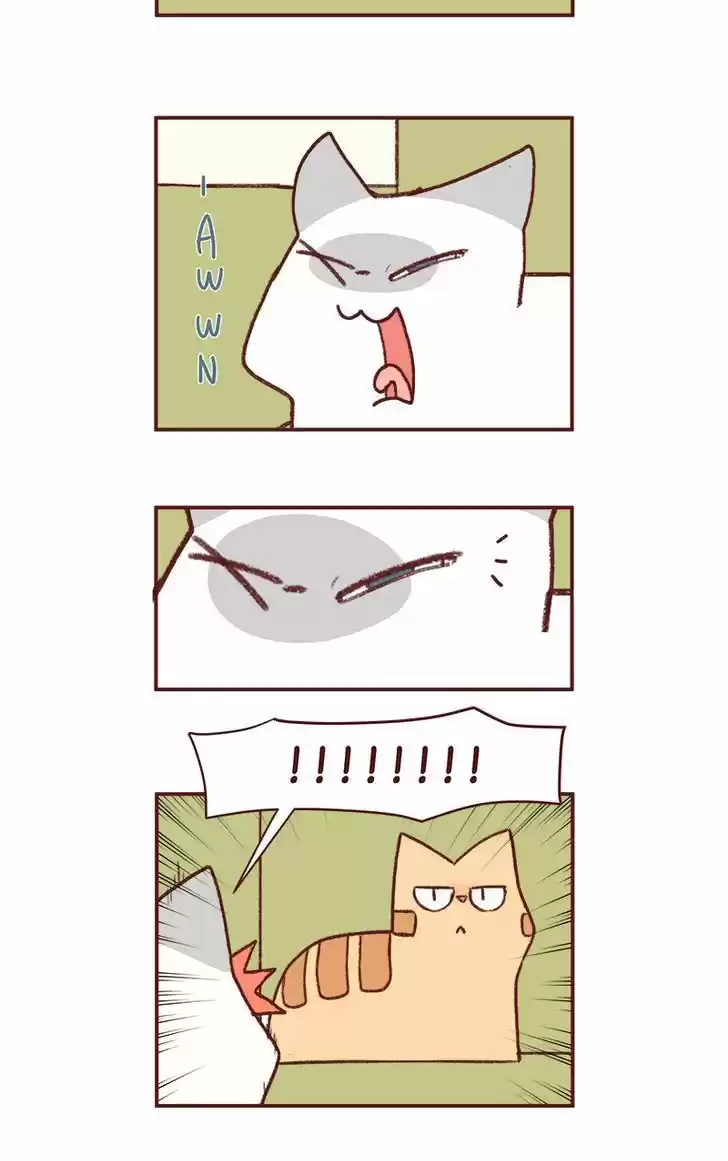 Saphie: The One-Eyed Cat 188