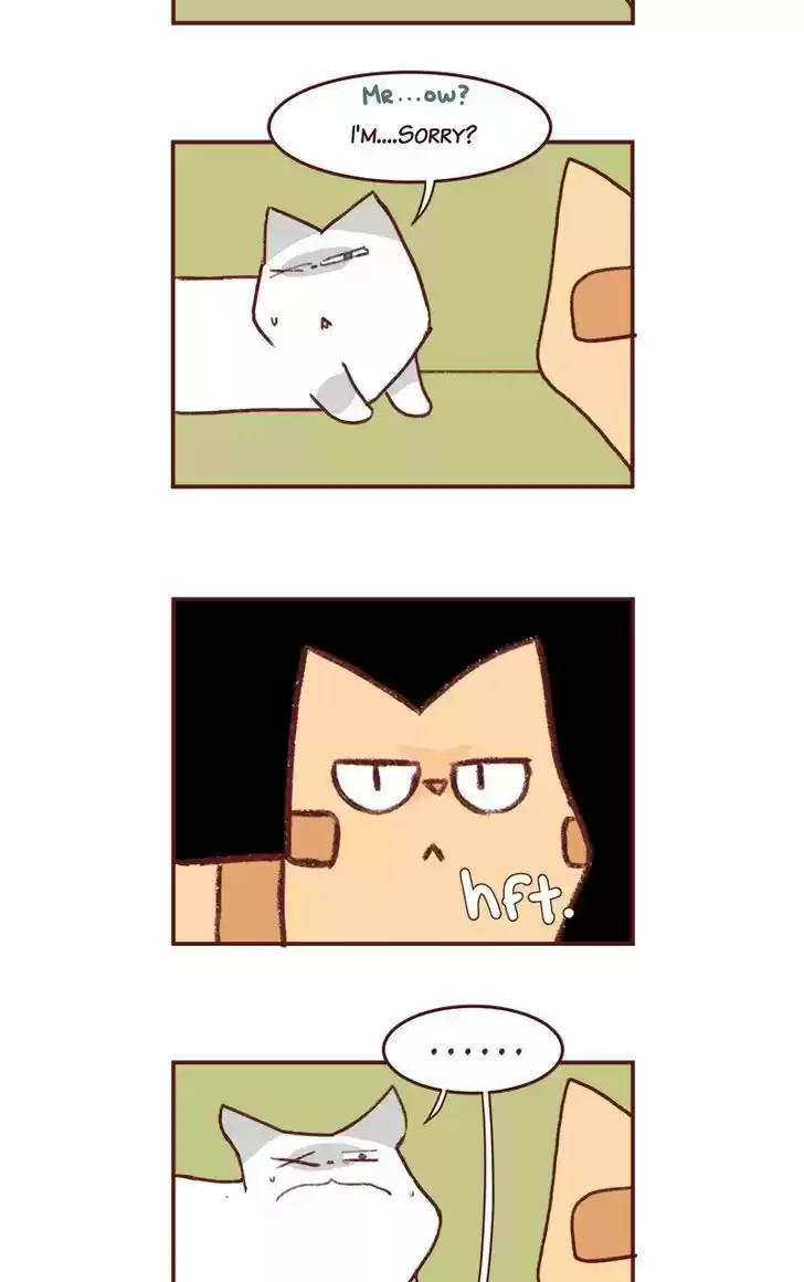 Saphie: The One-Eyed Cat 188