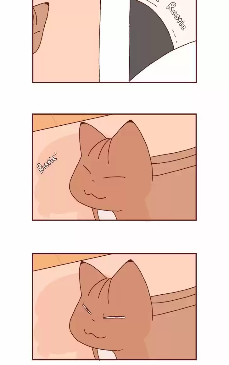 Saphie: The One-Eyed Cat 189