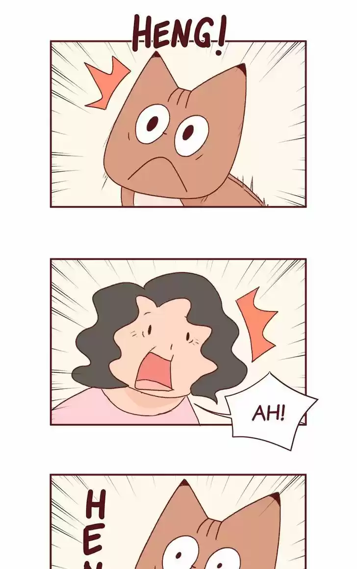 Saphie: The One-Eyed Cat 189