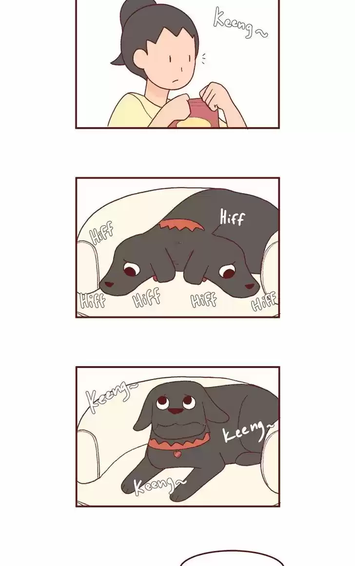 Saphie: The One-Eyed Cat 190