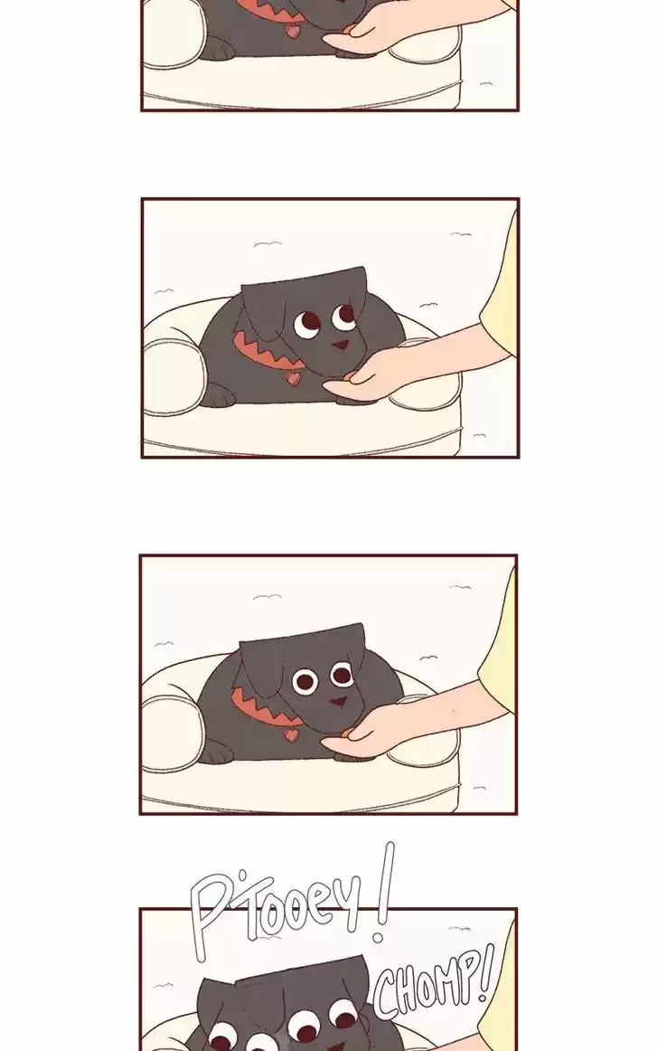 Saphie: The One-Eyed Cat 190