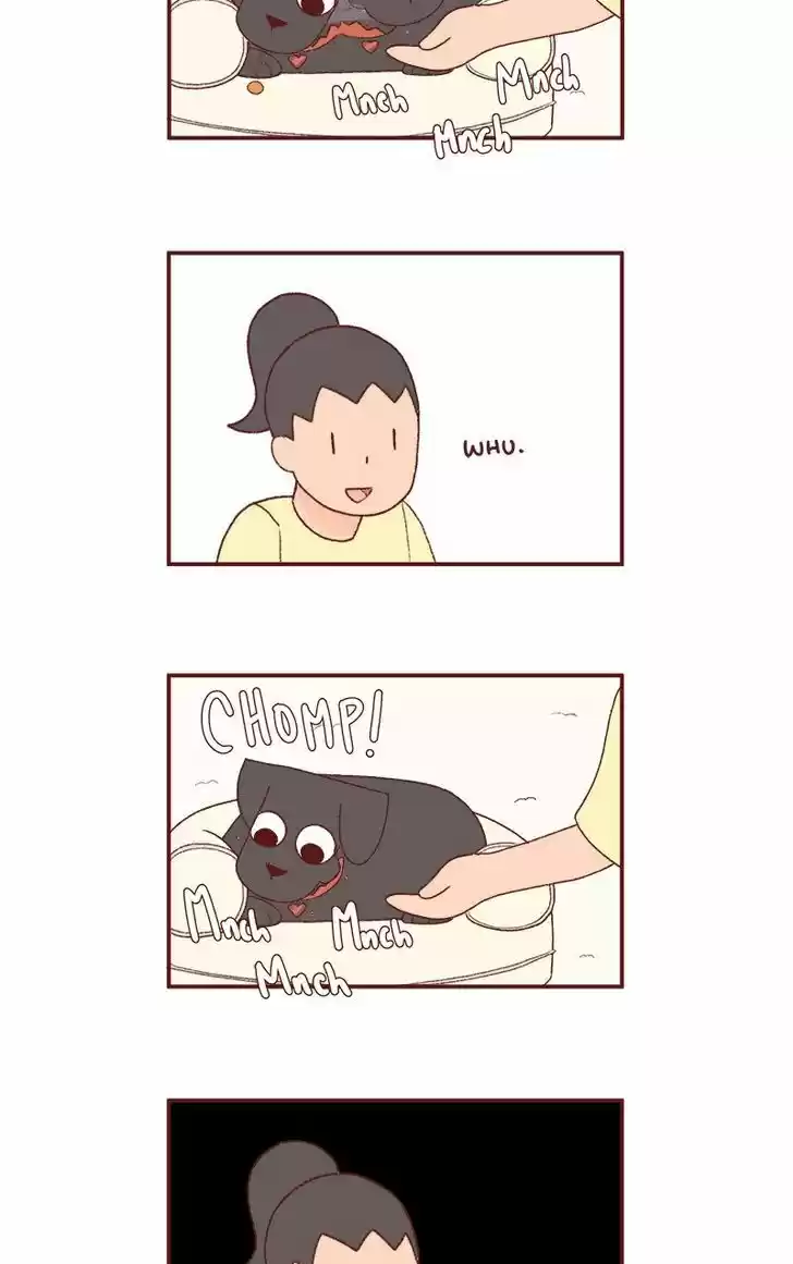 Saphie: The One-Eyed Cat 190