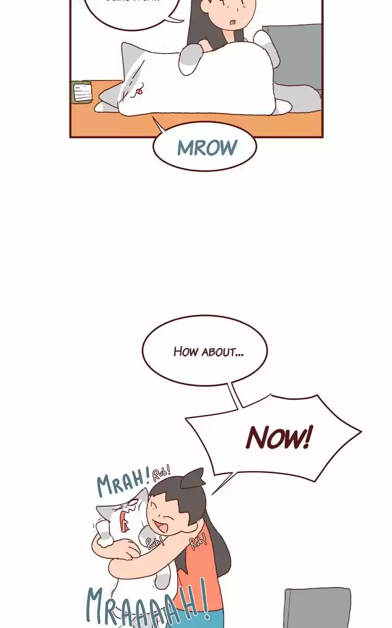 Saphie: The One-Eyed Cat 191