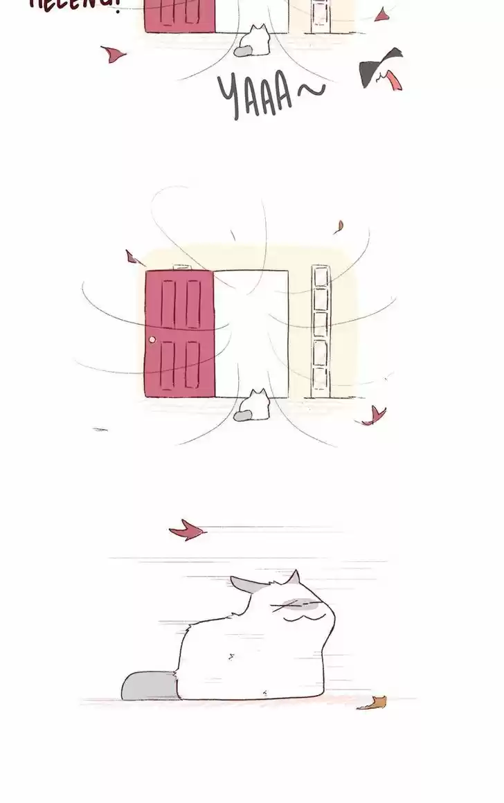 Saphie: The One-Eyed Cat 192