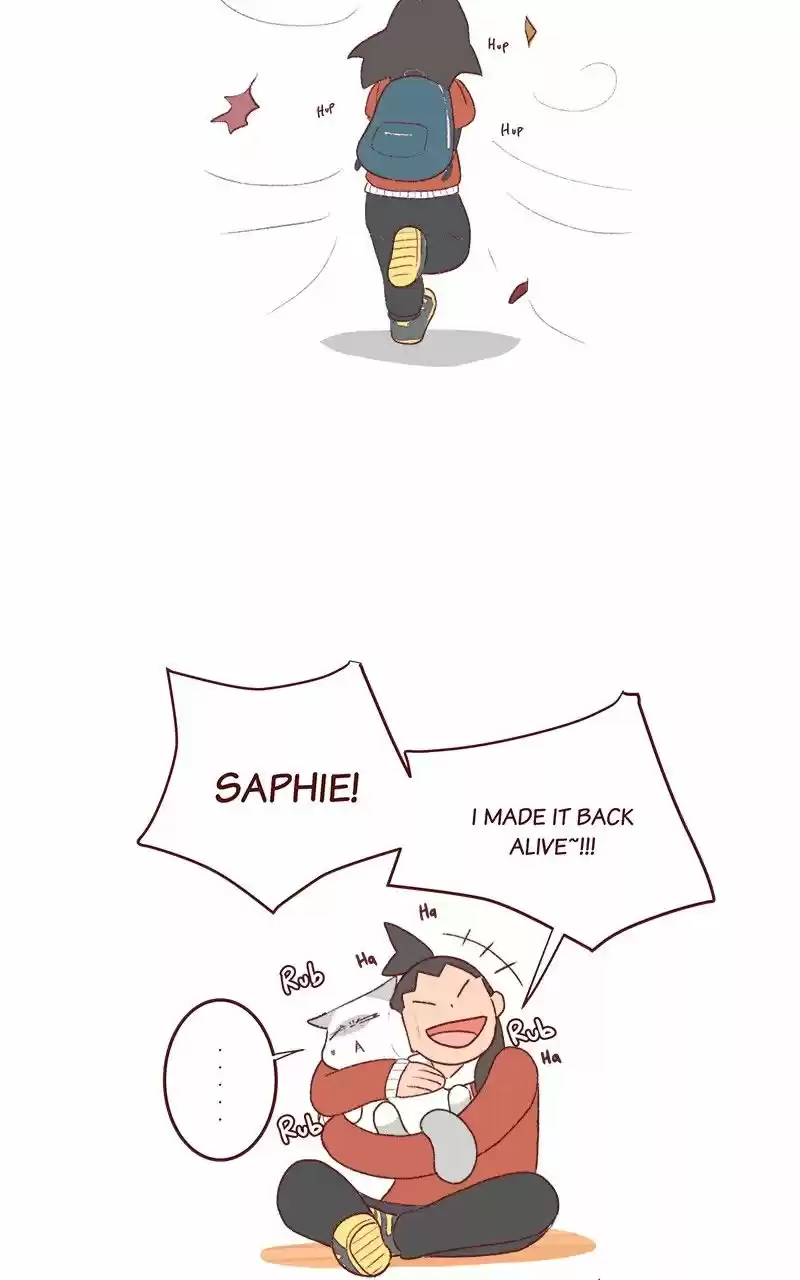 Saphie: The One-Eyed Cat 193