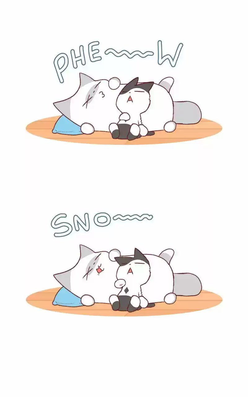 Saphie: The One-Eyed Cat 194