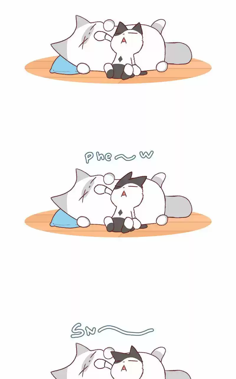 Saphie: The One-Eyed Cat 194