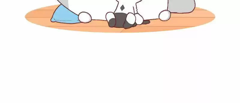 Saphie: The One-Eyed Cat 194