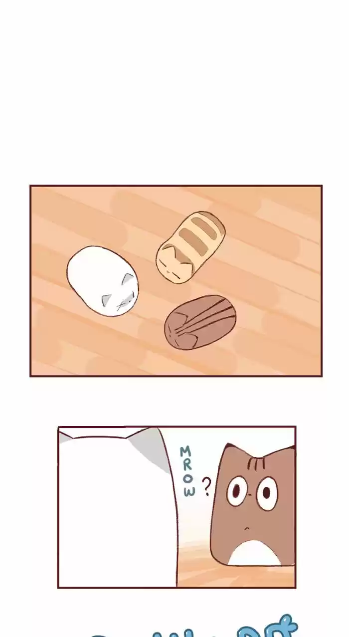 Saphie: The One-Eyed Cat 2