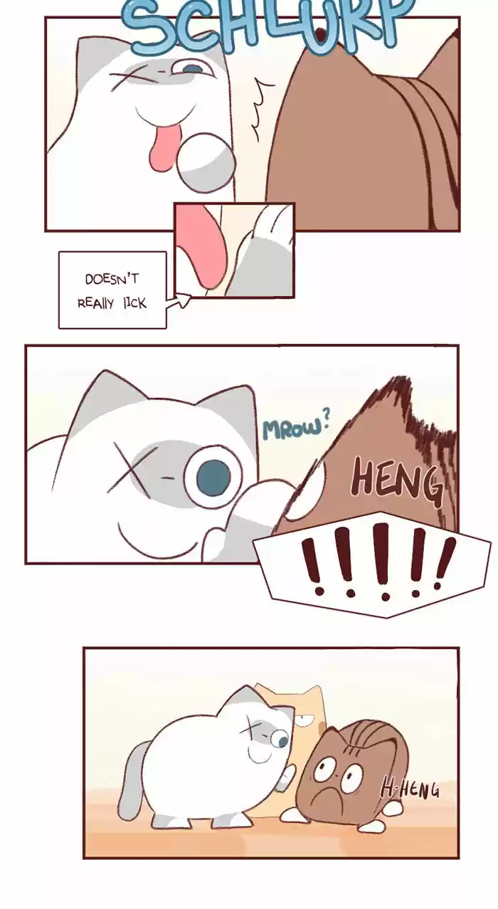 Saphie: The One-Eyed Cat 2