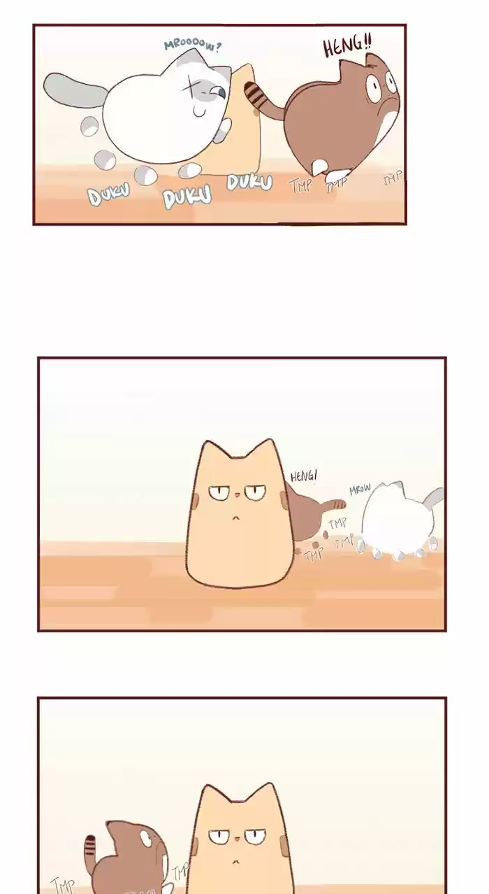 Saphie: The One-Eyed Cat 2