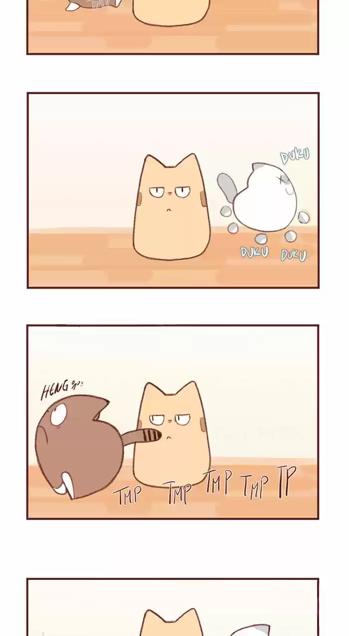 Saphie: The One-Eyed Cat 2