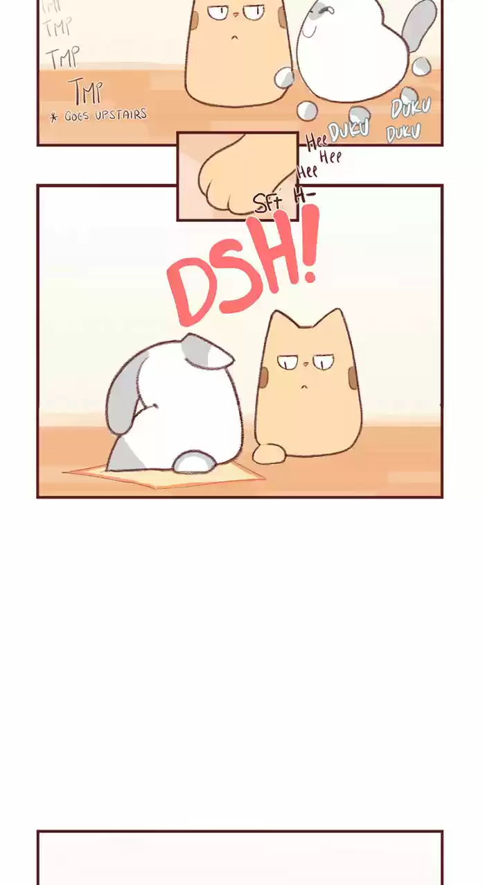 Saphie: The One-Eyed Cat 2