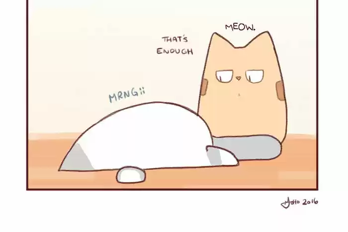 Saphie: The One-Eyed Cat 2