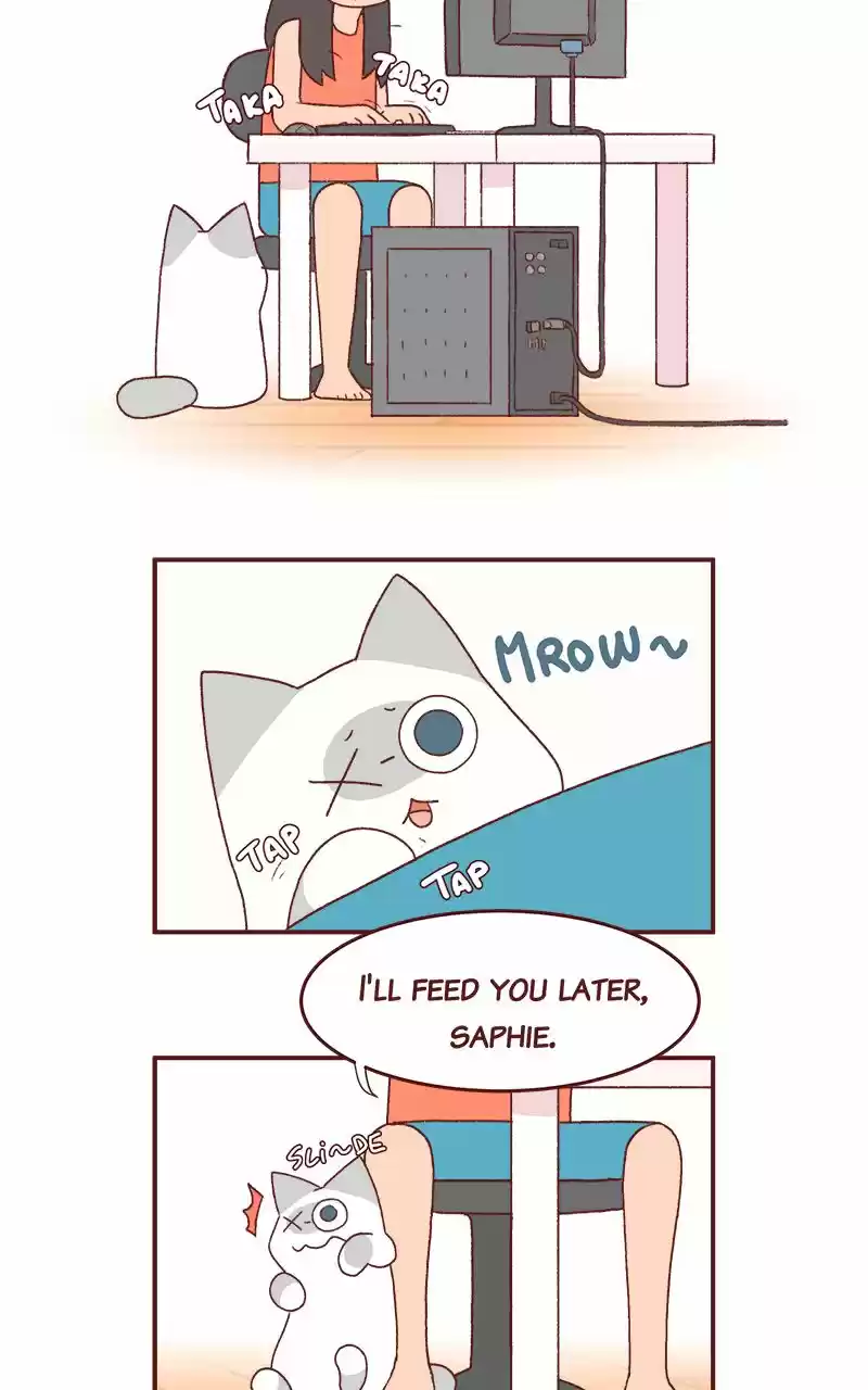 Saphie: The One-Eyed Cat 208