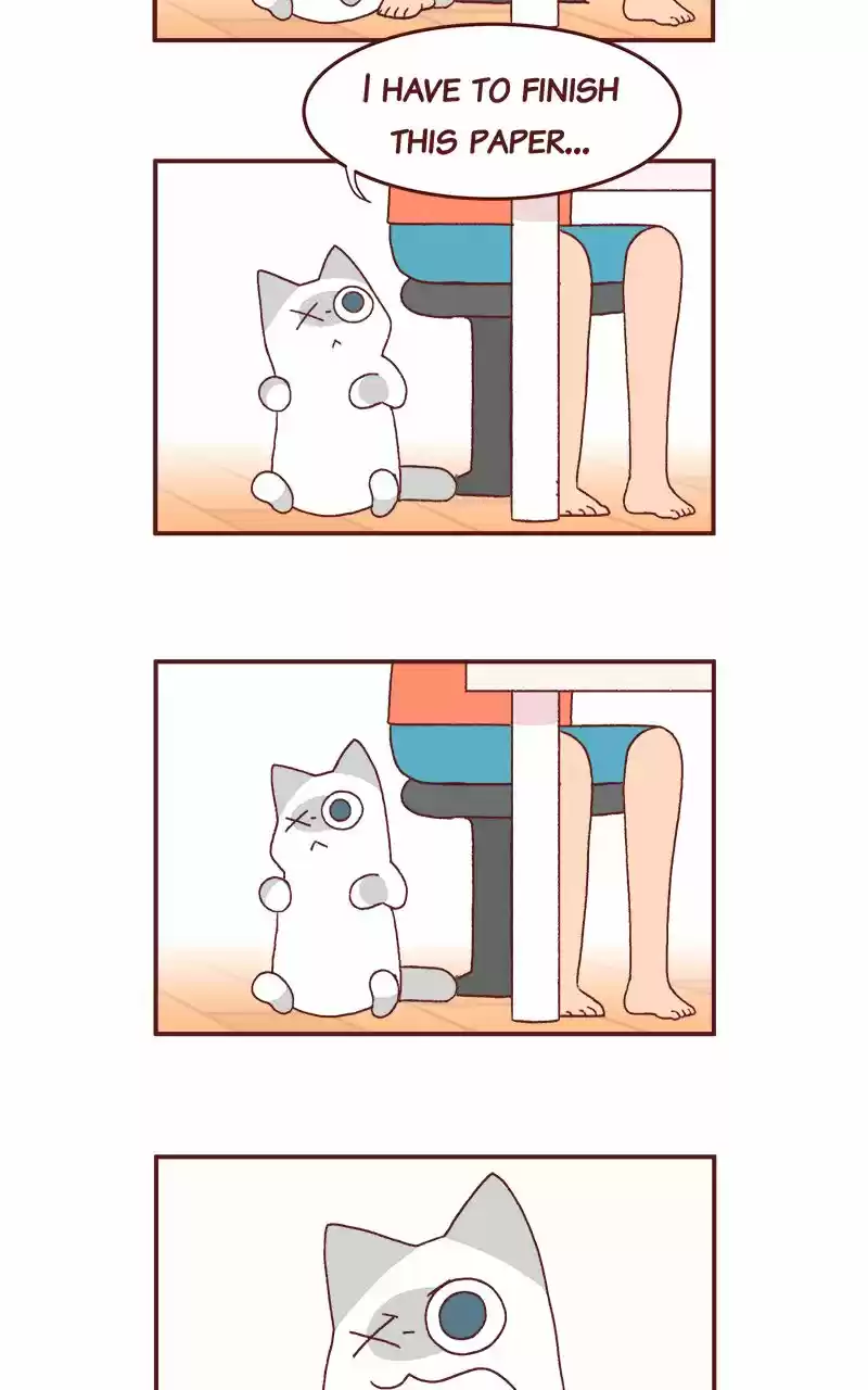 Saphie: The One-Eyed Cat 208