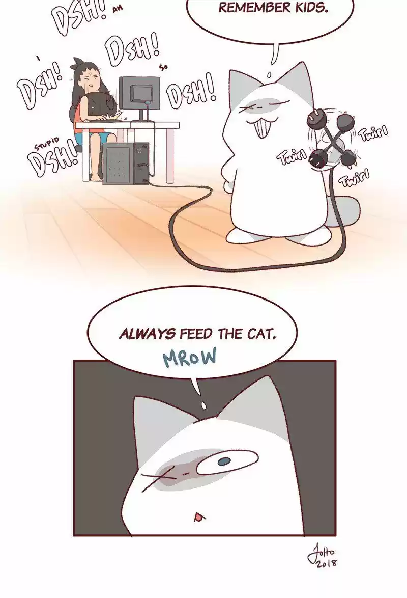 Saphie: The One-Eyed Cat 208