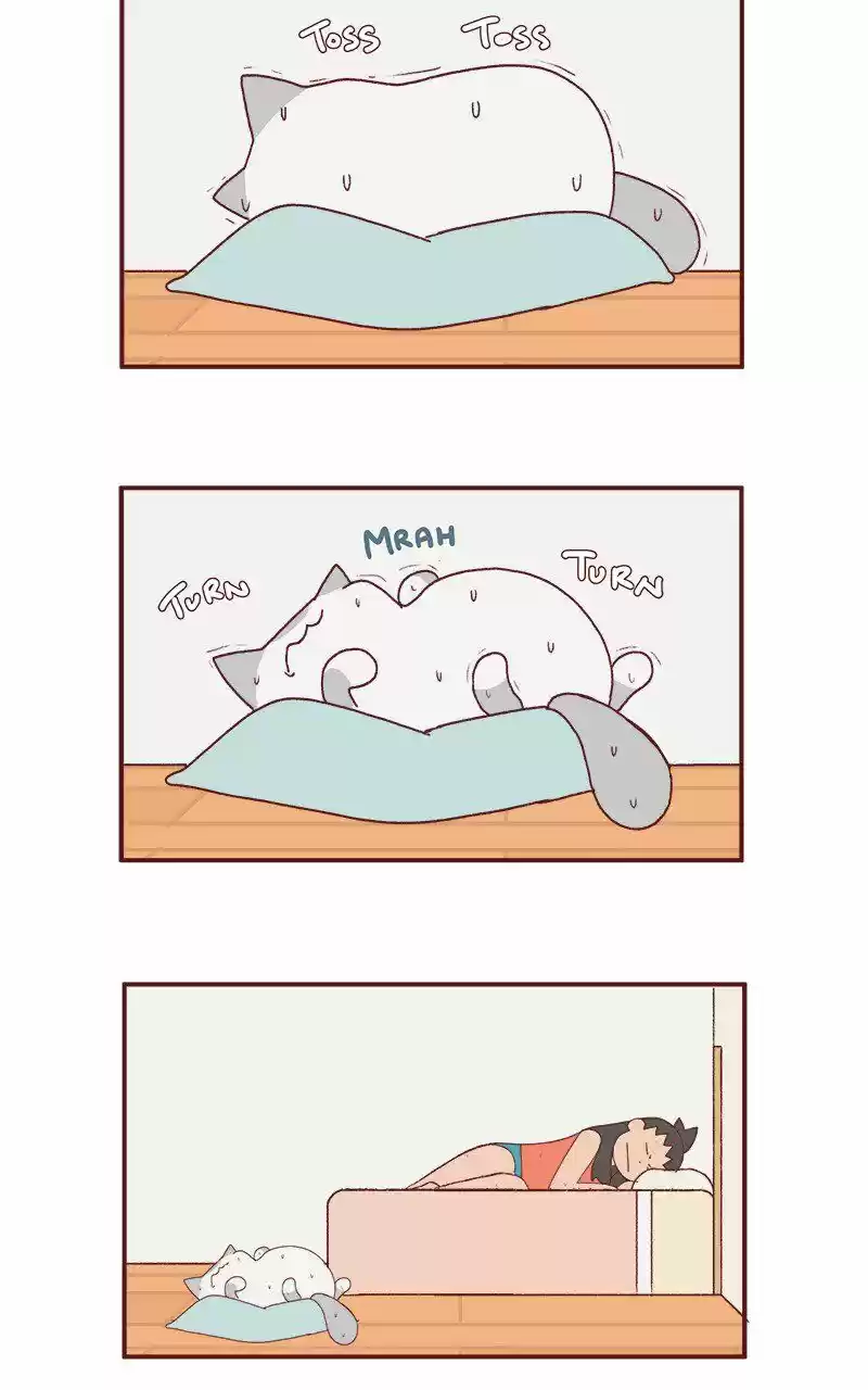 Saphie: The One-Eyed Cat 209